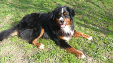 Ne vždy se jen daří