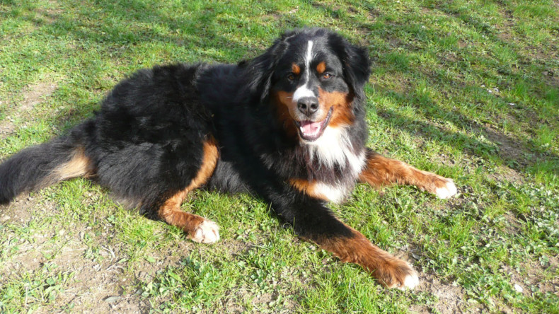 Ne vždy se jen daří