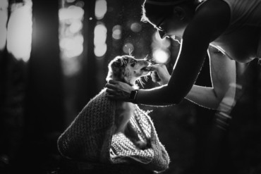 Minnie miniaturní americký ovčák beroucí si pamlskem od majitelky