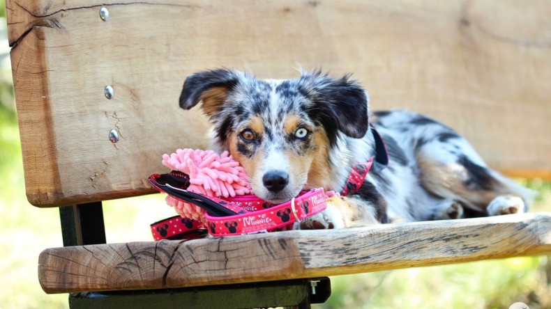 Kde nás můžete potkat – SRPEN