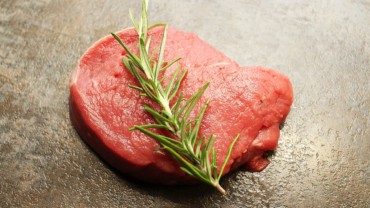 III. část – Suché psí krmivo neboli granule, co je kvalita a co marketing