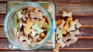 I. část – Suché psí krmivo neboli granule, co je kvalita a co marketing