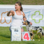 Minnie Miniaturní americký ovčák