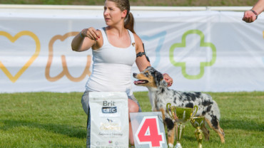 Když se sny plní, MVP Mladá Boleslav 2019