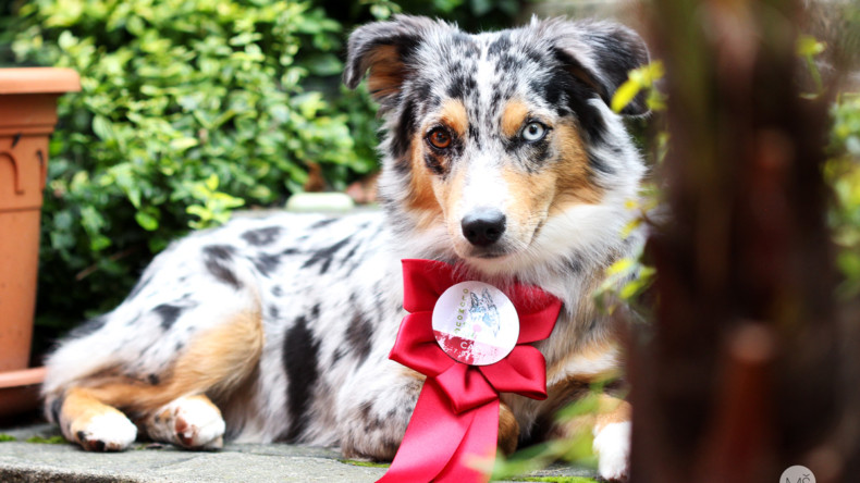 Floracanis Olomouc 2019