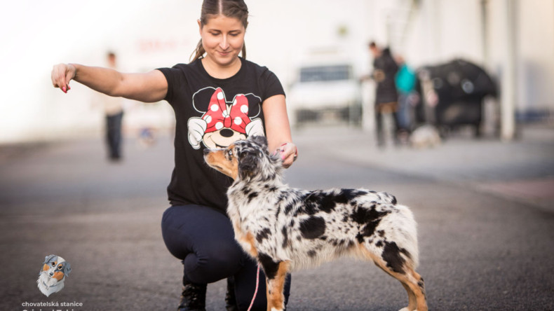 Prague Expo Dog – Double CACIB 30. 11. – 1. 12. 2019