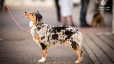 Kde nás můžete potkat 2020