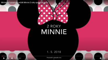 YouTube kanál Original Tobias