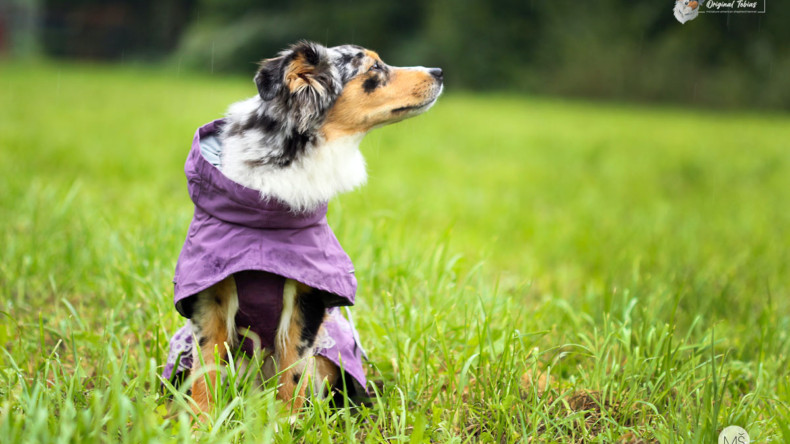 Pláštěnka Hurtta Drizzle Coat