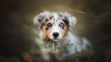 Chystáme se na porod