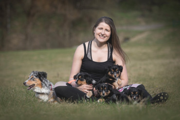 Vrh A chovatelská stanice Original Tobias Miniaturní americký ovčák